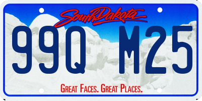 SD license plate 99QM25