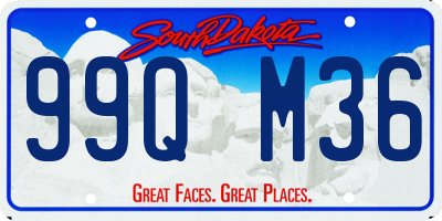 SD license plate 99QM36