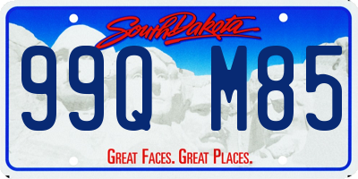 SD license plate 99QM85