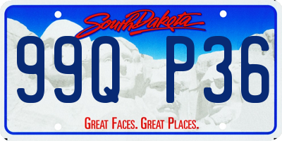 SD license plate 99QP36