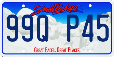 SD license plate 99QP45