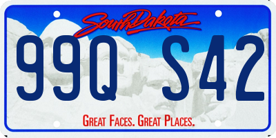 SD license plate 99QS42