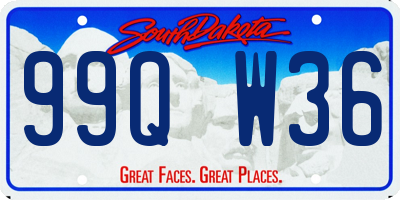 SD license plate 99QW36