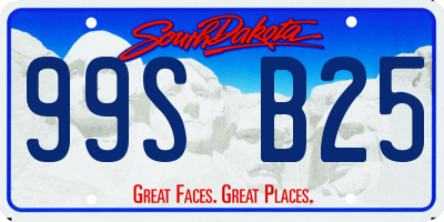 SD license plate 99SB25