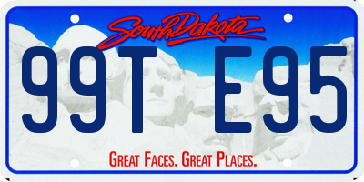 SD license plate 99TE95