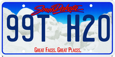 SD license plate 99TH20