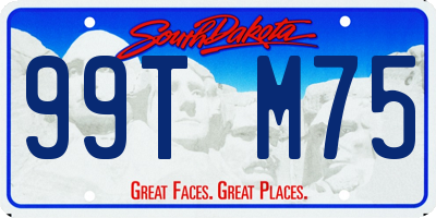 SD license plate 99TM75
