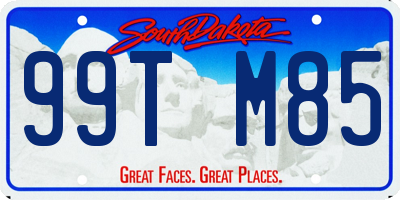 SD license plate 99TM85