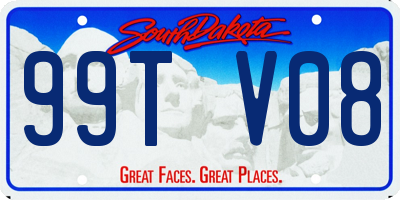 SD license plate 99TV08