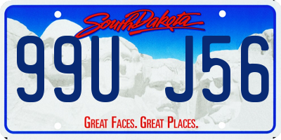 SD license plate 99UJ56