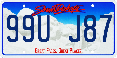 SD license plate 99UJ87