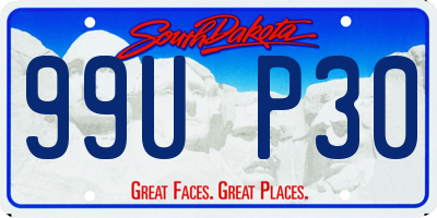 SD license plate 99UP30