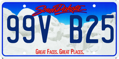 SD license plate 99VB25