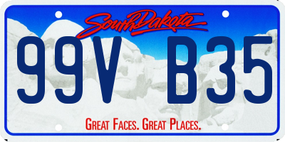 SD license plate 99VB35