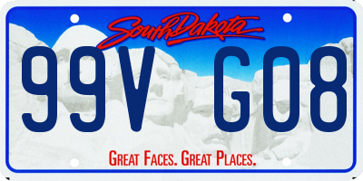 SD license plate 99VG08
