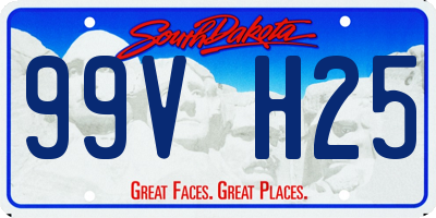 SD license plate 99VH25