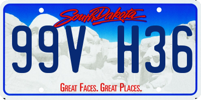 SD license plate 99VH36