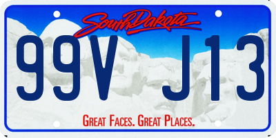 SD license plate 99VJ13