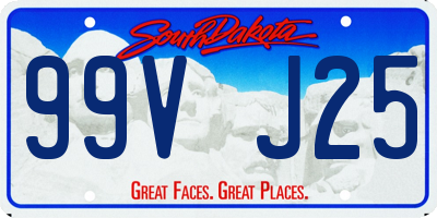 SD license plate 99VJ25