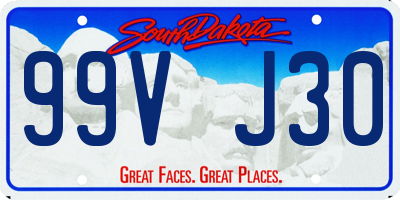SD license plate 99VJ30
