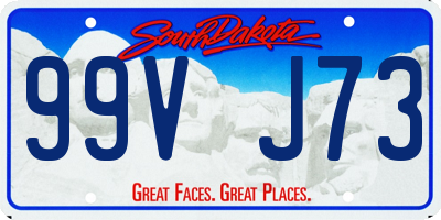 SD license plate 99VJ73