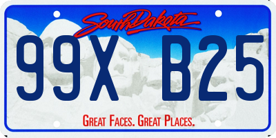 SD license plate 99XB25