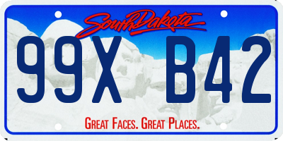 SD license plate 99XB42