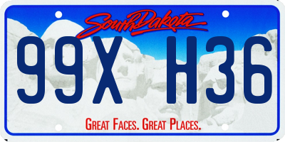 SD license plate 99XH36