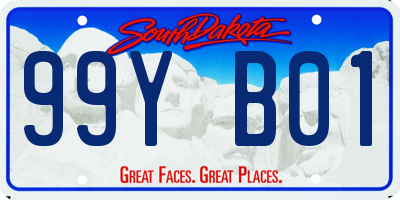 SD license plate 99YB01