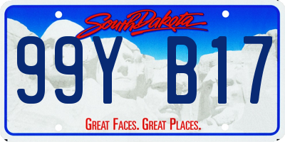 SD license plate 99YB17