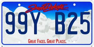 SD license plate 99YB25