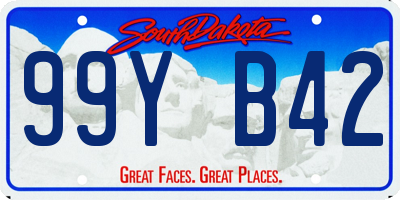 SD license plate 99YB42