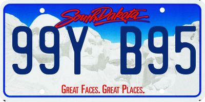 SD license plate 99YB95