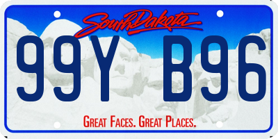 SD license plate 99YB96