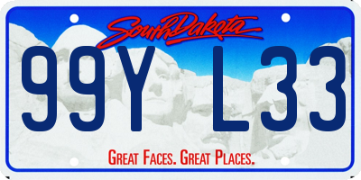 SD license plate 99YL33