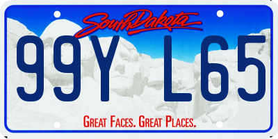 SD license plate 99YL65