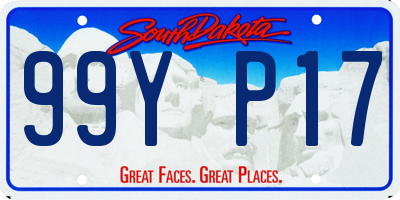 SD license plate 99YP17