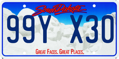 SD license plate 99YX30