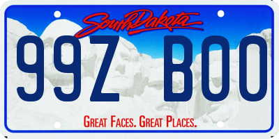 SD license plate 99ZB00