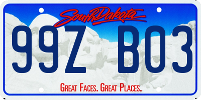 SD license plate 99ZB03