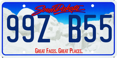 SD license plate 99ZB55