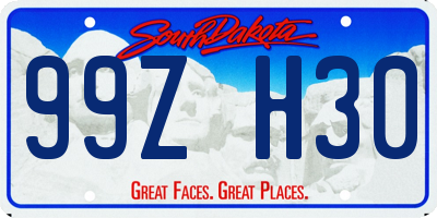 SD license plate 99ZH30