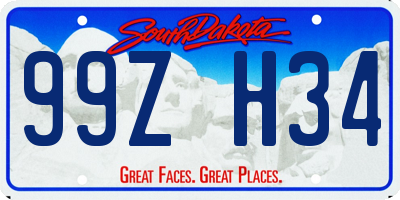 SD license plate 99ZH34