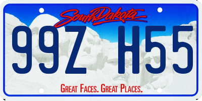 SD license plate 99ZH55