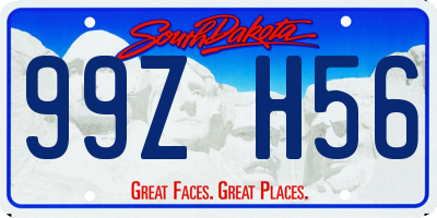 SD license plate 99ZH56