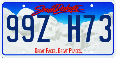 SD license plate 99ZH73