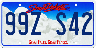 SD license plate 99ZS42