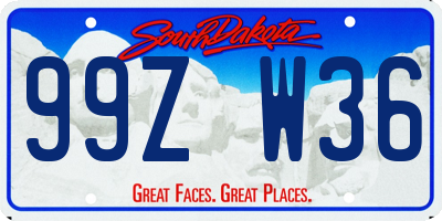 SD license plate 99ZW36