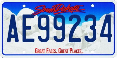 SD license plate AE99234