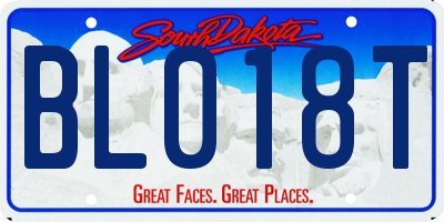 SD license plate BL018T